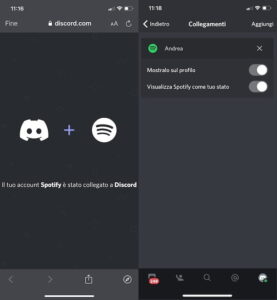 discord6